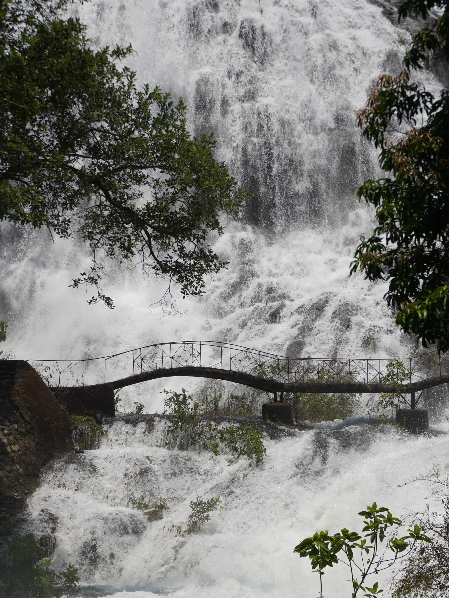 Umbrella Waterfall cascading in Bhandardara